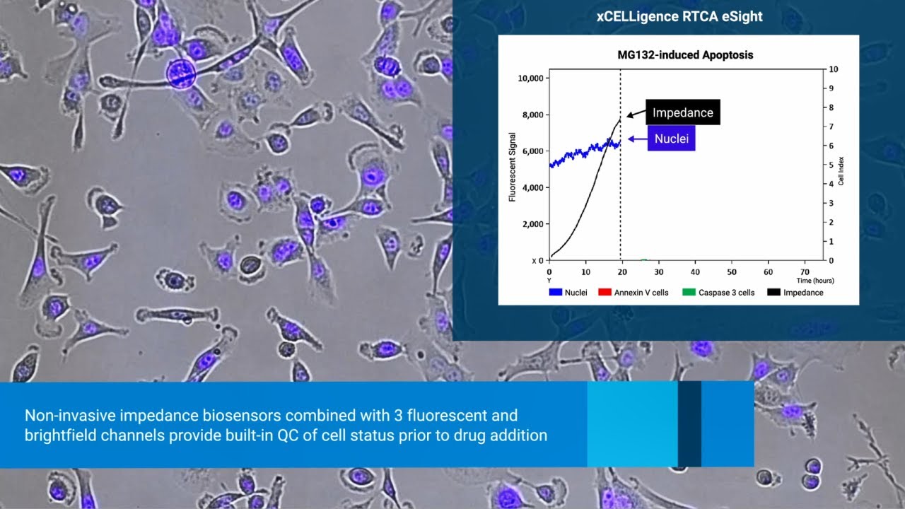 Do you know what your cells are doing?