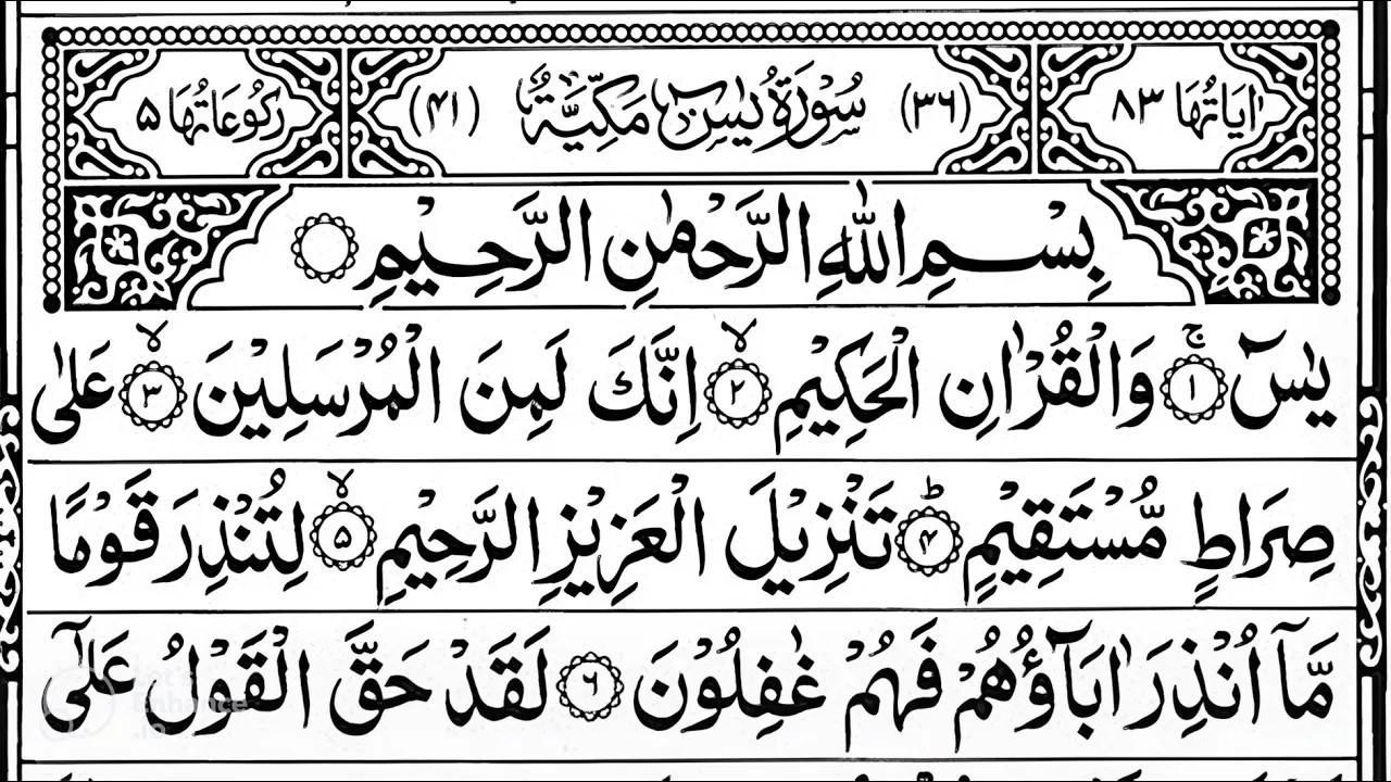 Surah Yaseen Surah Ar Rahman | Best Quran Recitation | Surah Yasin Tilawat | Episode_002