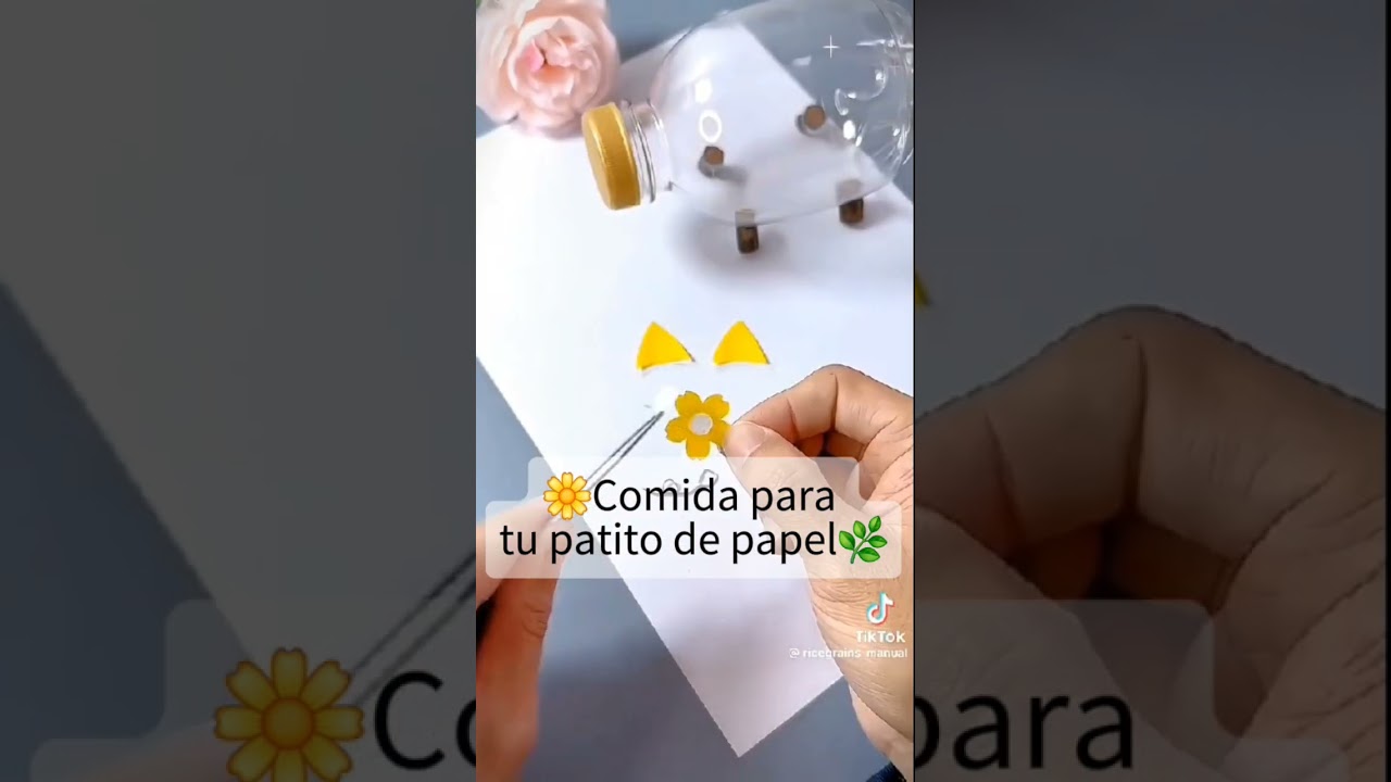Comida para tu patito de papel #apoyo #patitos
