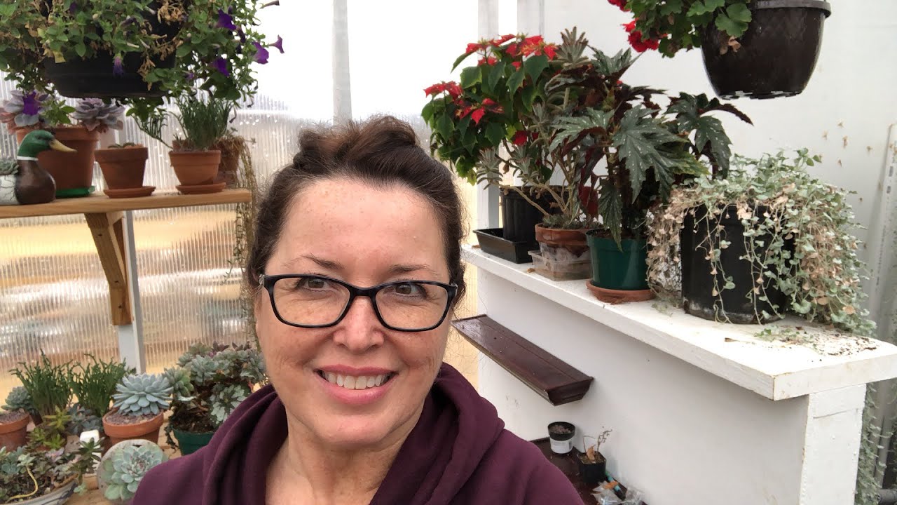 Update my plants in the greenhouse