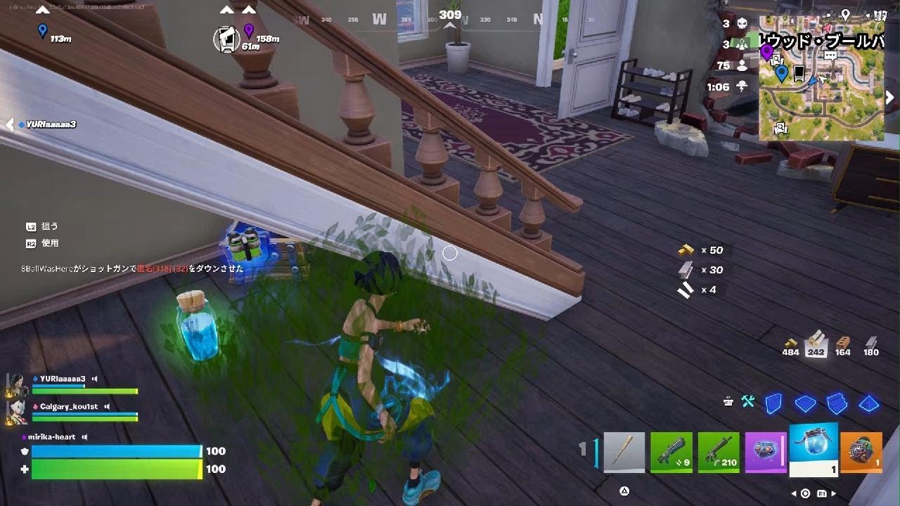 Fortnite_トリオ（カルくん、ユリさん、私）