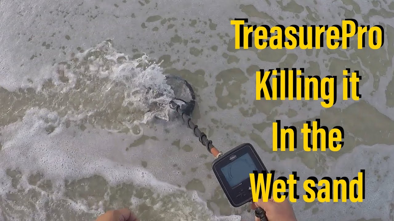 Whites TreasurePro is killer in wet sand and shallows. Metal detecting. Things to do in Florida !