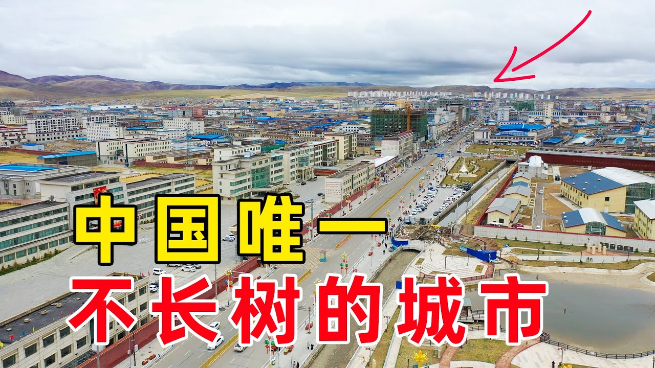 實拍：中國唯一不長樹的城市，種活一棵樹獎勵30萬，至今沒人領過獎，這裡的人靠什么生活？The only city in China that does not grow trees