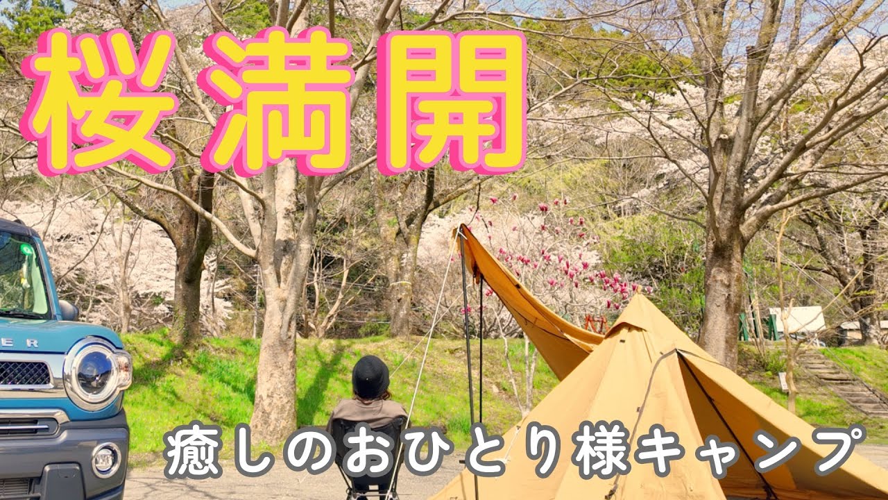 絶景！満開の桜で春キャンプ｜静岡・ならここの里キャンプ場【車中泊キャンプ】