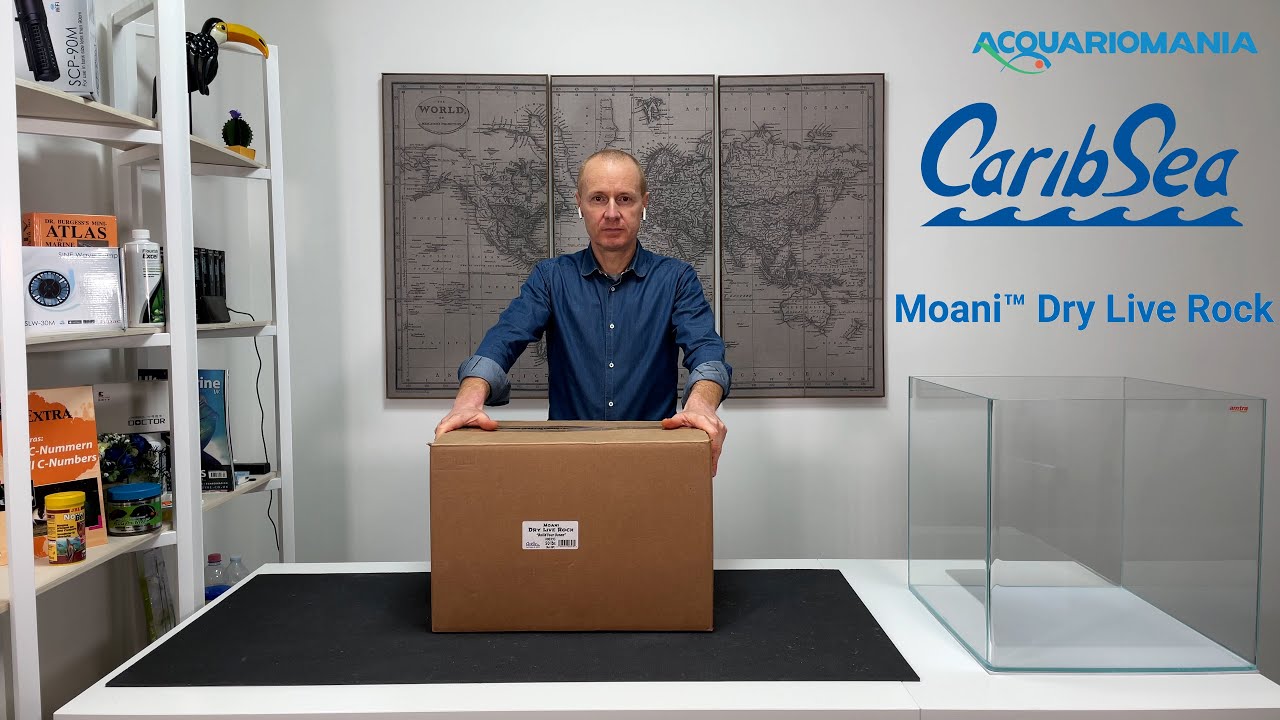 Unboxing Carib Sea Moani Dry Life Rock