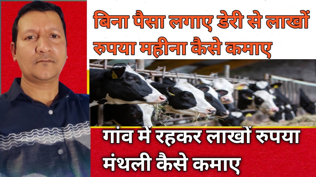 बिना पैसा लगाए डेरी से लाखों रुपए मंथली कैसे कमाए।।