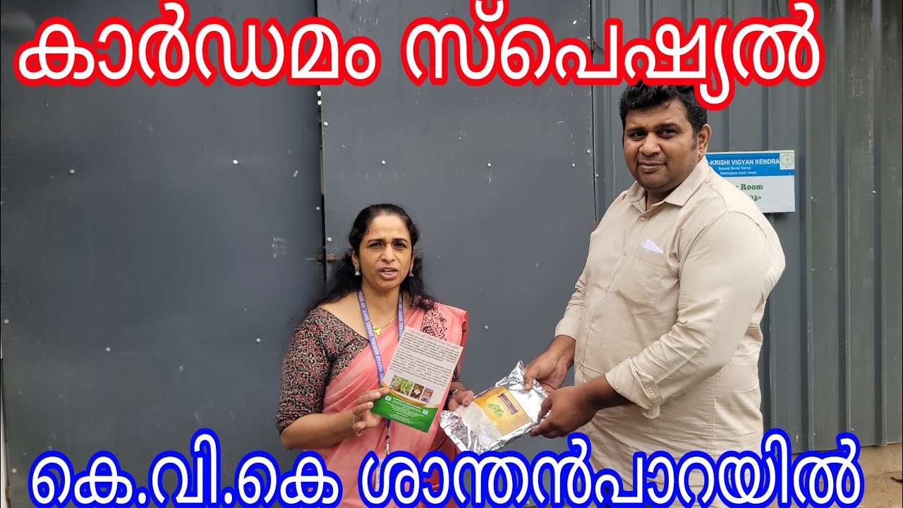 Cardamom Special#K V K Santhanpara#Antony Muniyara Vlogs