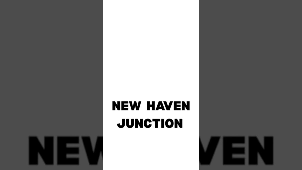A VIEW OF NEW HAVEN JUNCTION 