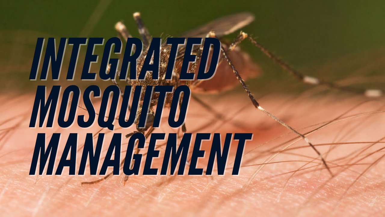 Integrated Mosquito Management Plan: Larvae & Adult Mosquito Control to Prevent Diseases