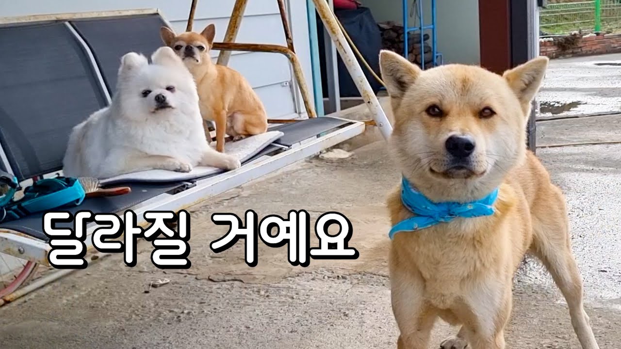 이제 변화가 필요할 때