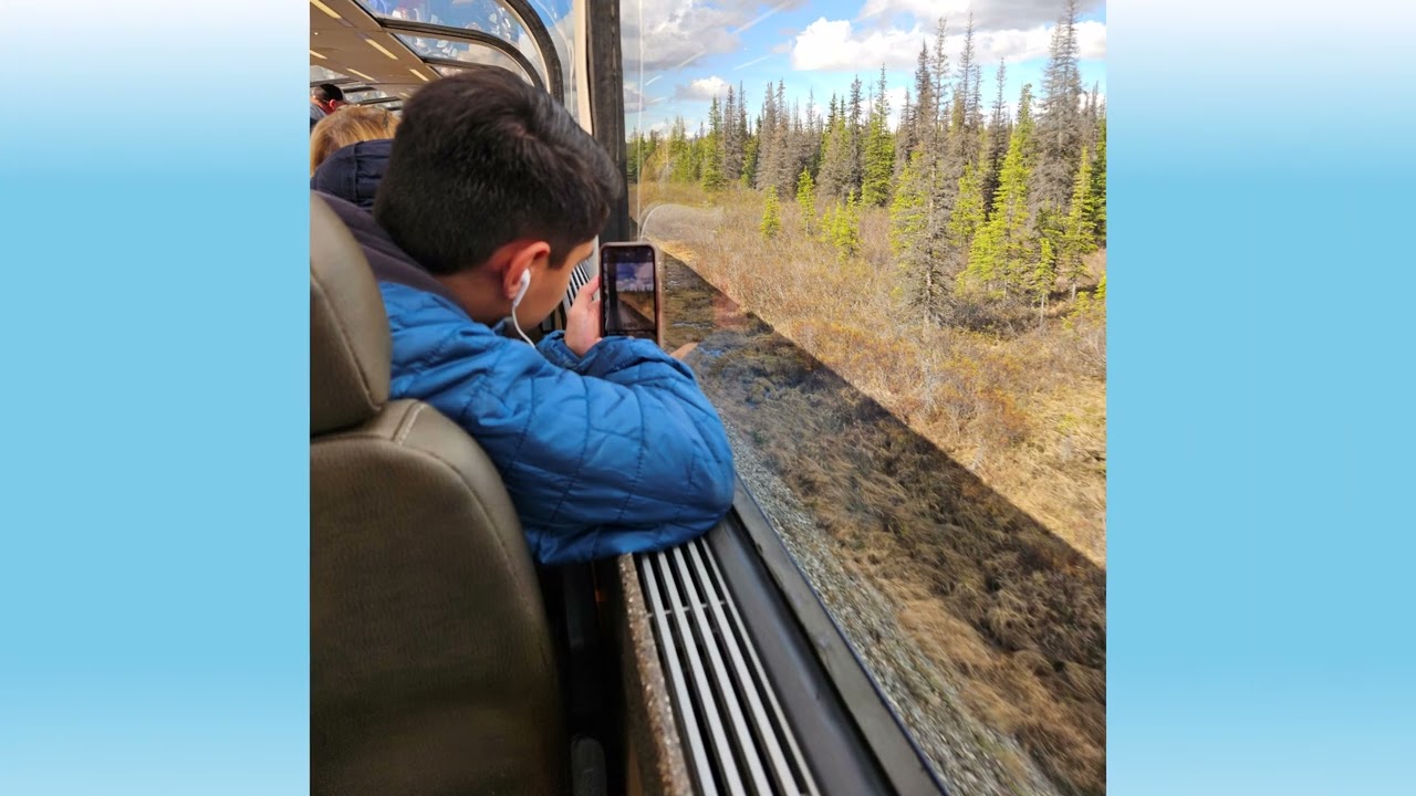 Alaska Cruise 2025 ~ Railroad to Anchorage