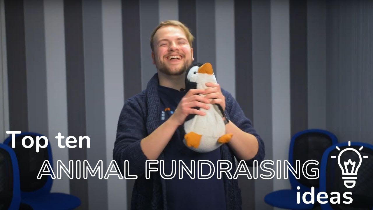 Top ten animal fundraising ideas