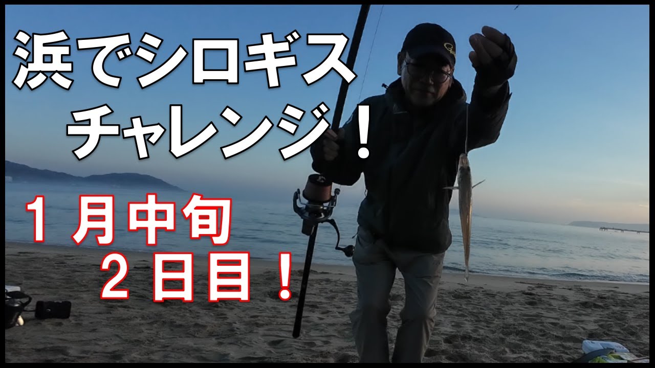 【冬のキス釣り】チャレンジ2日目！浜でシロギス１月にサーフで楽しむキス釣り♪