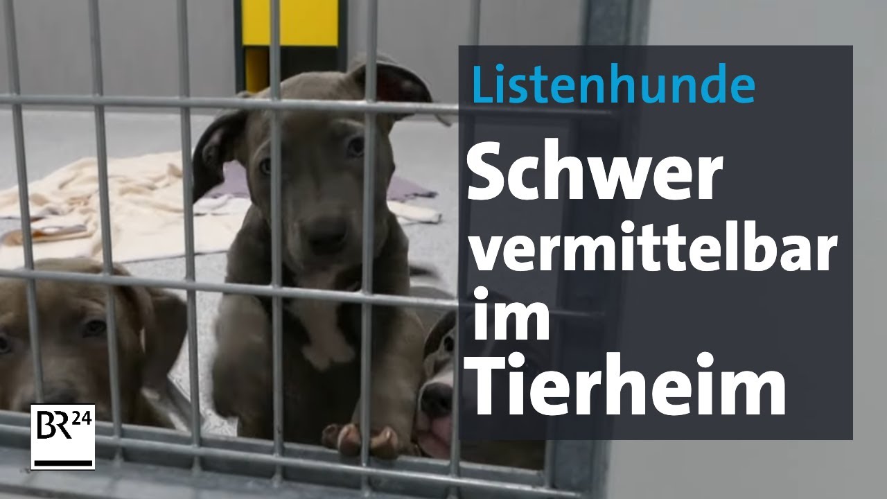 Schwer vermittelbar: Befreite 