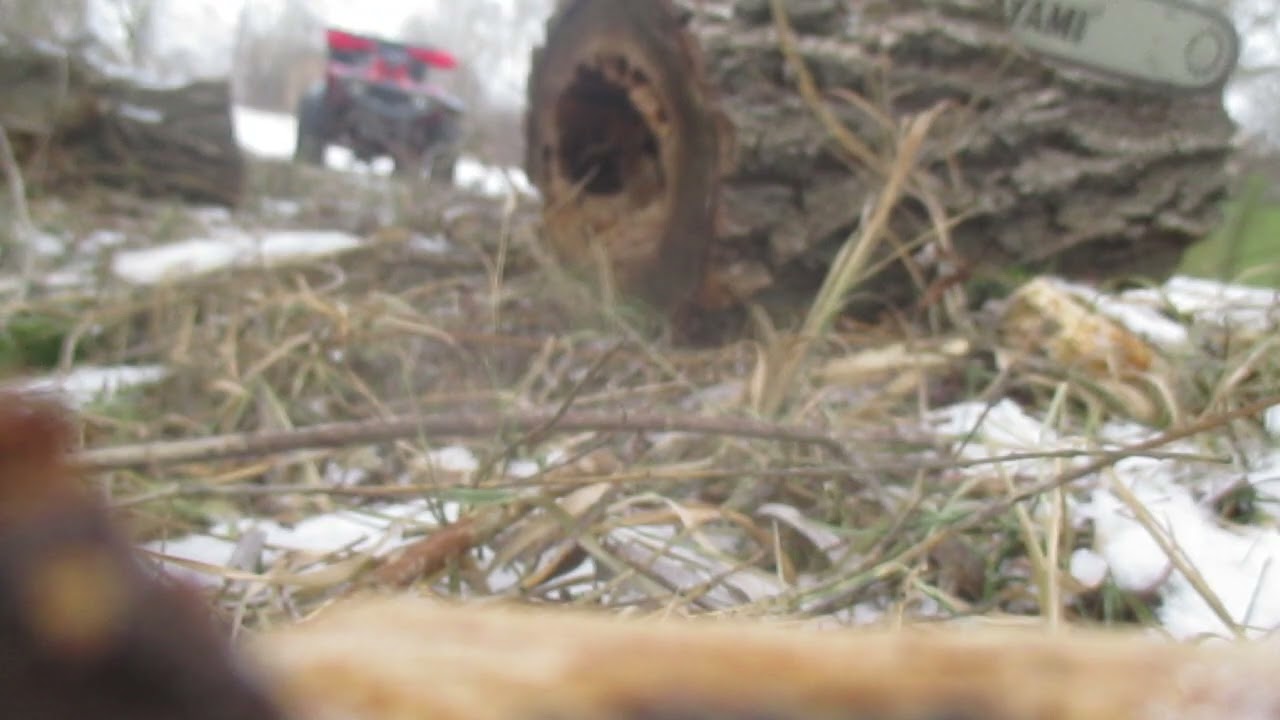 Вулик 2  Початок