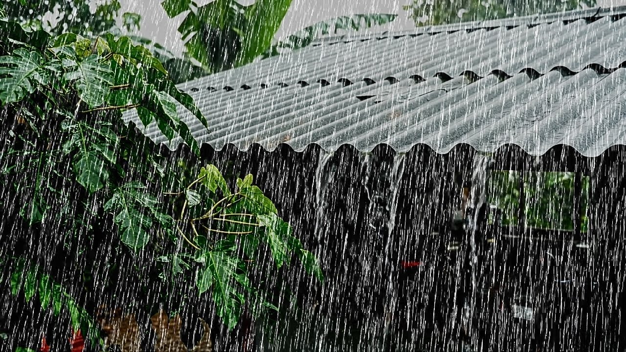 Extreme Heavy Rain 🌧️ | Nighttime Rain Sound That Comforts the Mind and Body Before Sleep