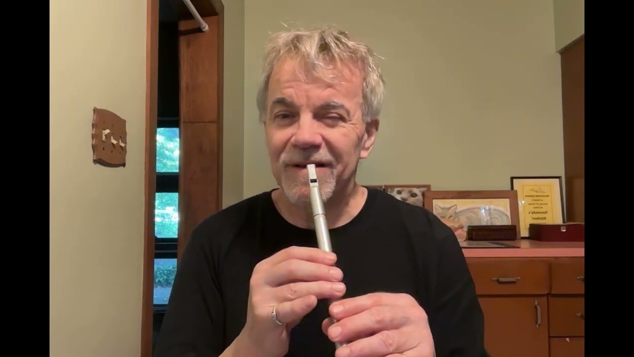 The Brosna Slide Irish Whistle Lesson Intermediate