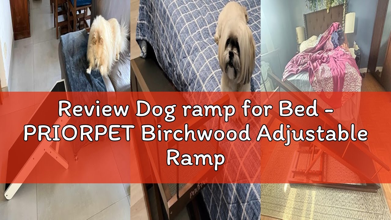 Review Dog ramp for Bed - PRIORPET Birchwood Adjustable Ramp for Dogs to Get on Bed: Dog ramps for H