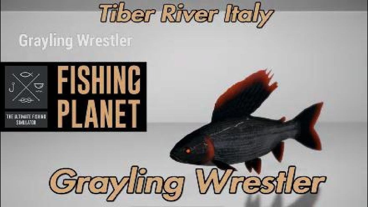 Хариус-борец-монстр - река Тибр, Италия - Fishing Planet