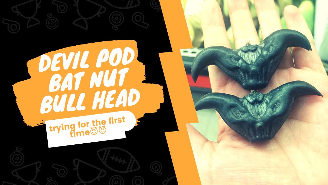 NYOBAIN SAYUR TANDUK IBLIS || DEVIL POD || WATER CALTROP || BAT NUT