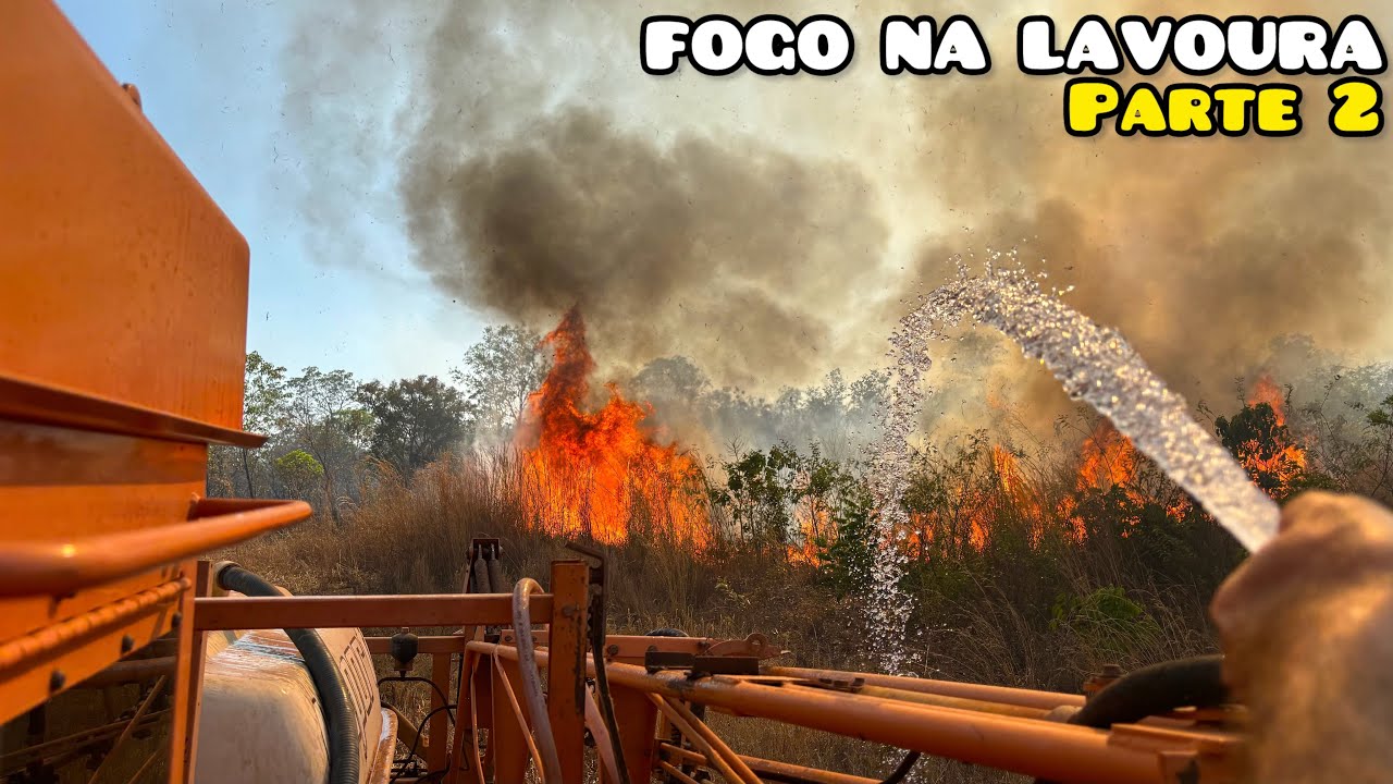 ENTROU FOGO NA NOSSA LAVOURA PARTE 2
