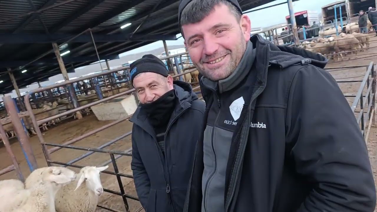 5.şubat Afyon Çayırbağ hayvan pazarı YouTube Kuzucu isa olarak takip Edip abone olabilirsiniz 