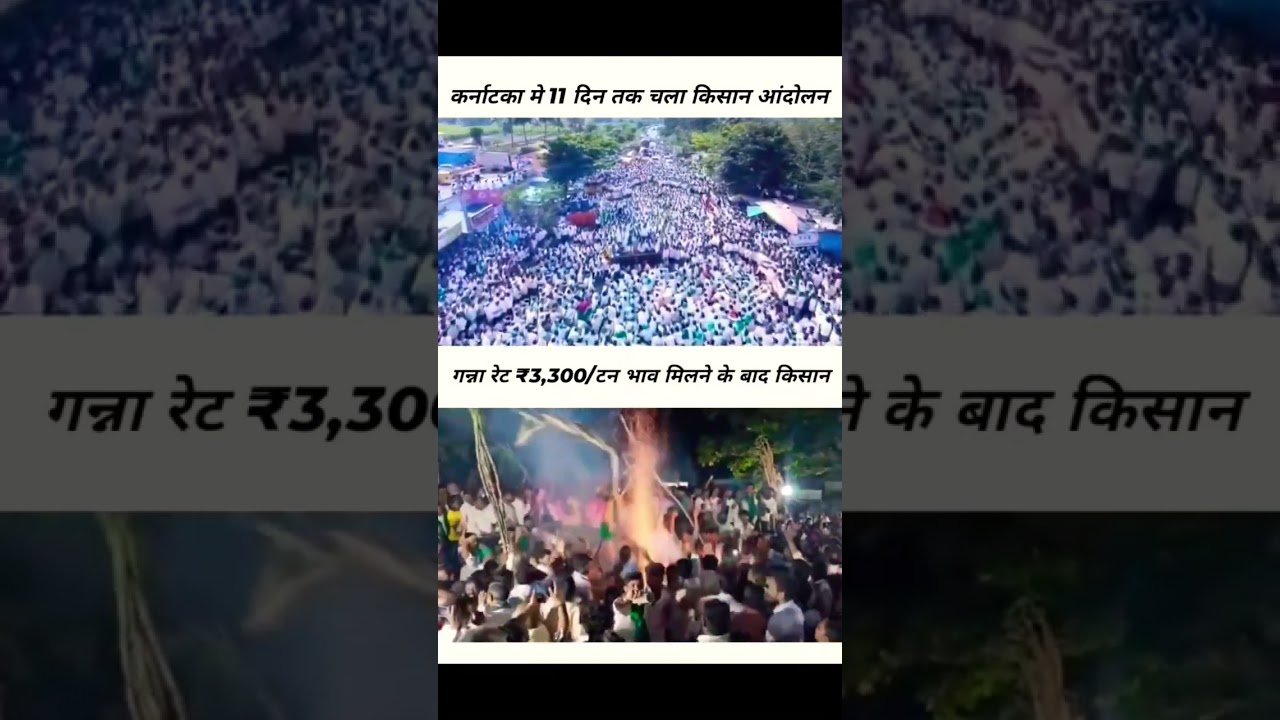 paglaye gaye ho kya? #agriculture #sugarcane #farmers