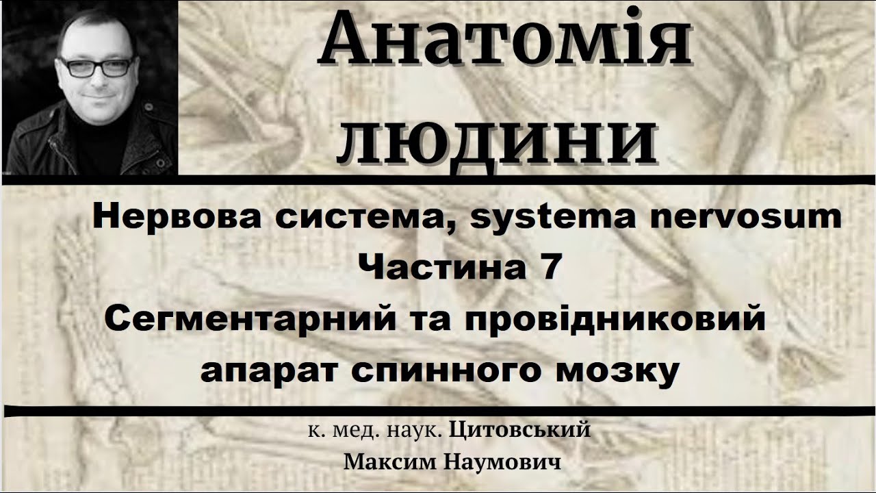 Нервова система, systema nervosum Частина 7 Сегментарний та провідниковий апарат спинного мозку