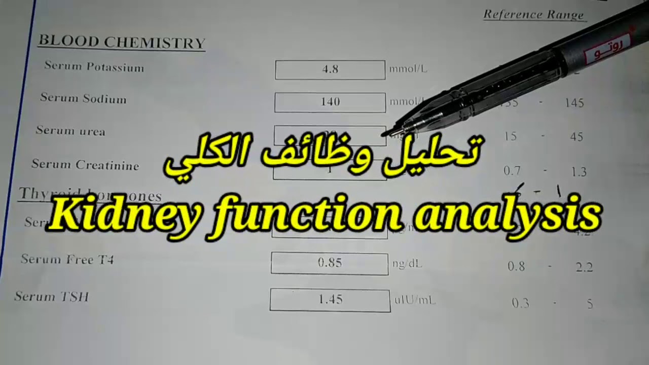 كيفيه قرأه تحليل وظائف الكلي_kidney function analysis