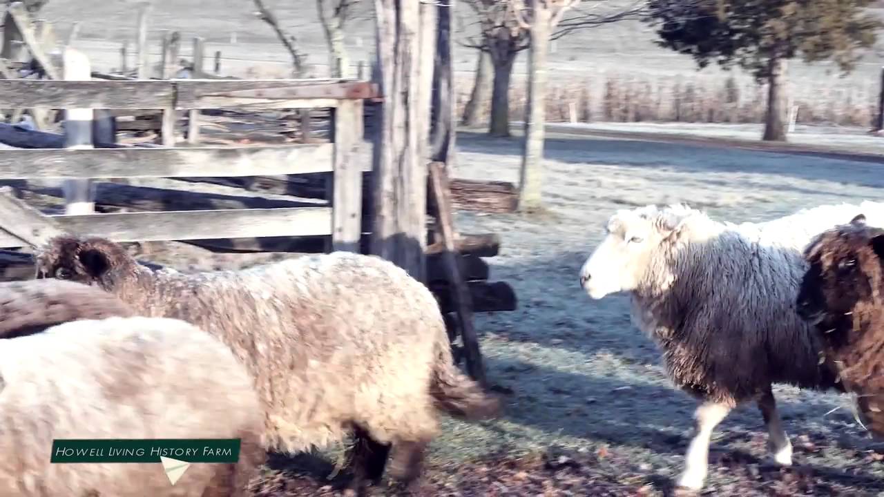 Mercer County, New Jersey