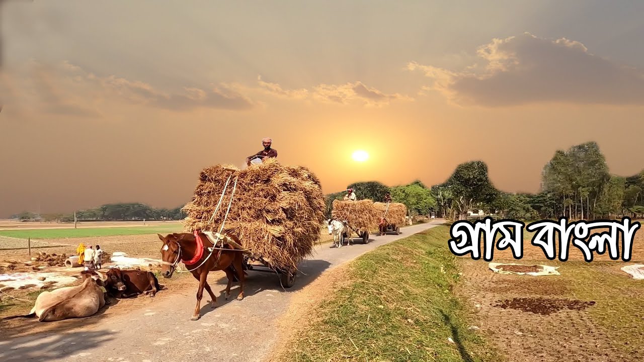গ্রাম বাংলার ঐতিহ্যবাহী হারিয়ে যাওয়া কিছু গ্রামের দৃশ্য। Traditional Bangladesh Village Scenery