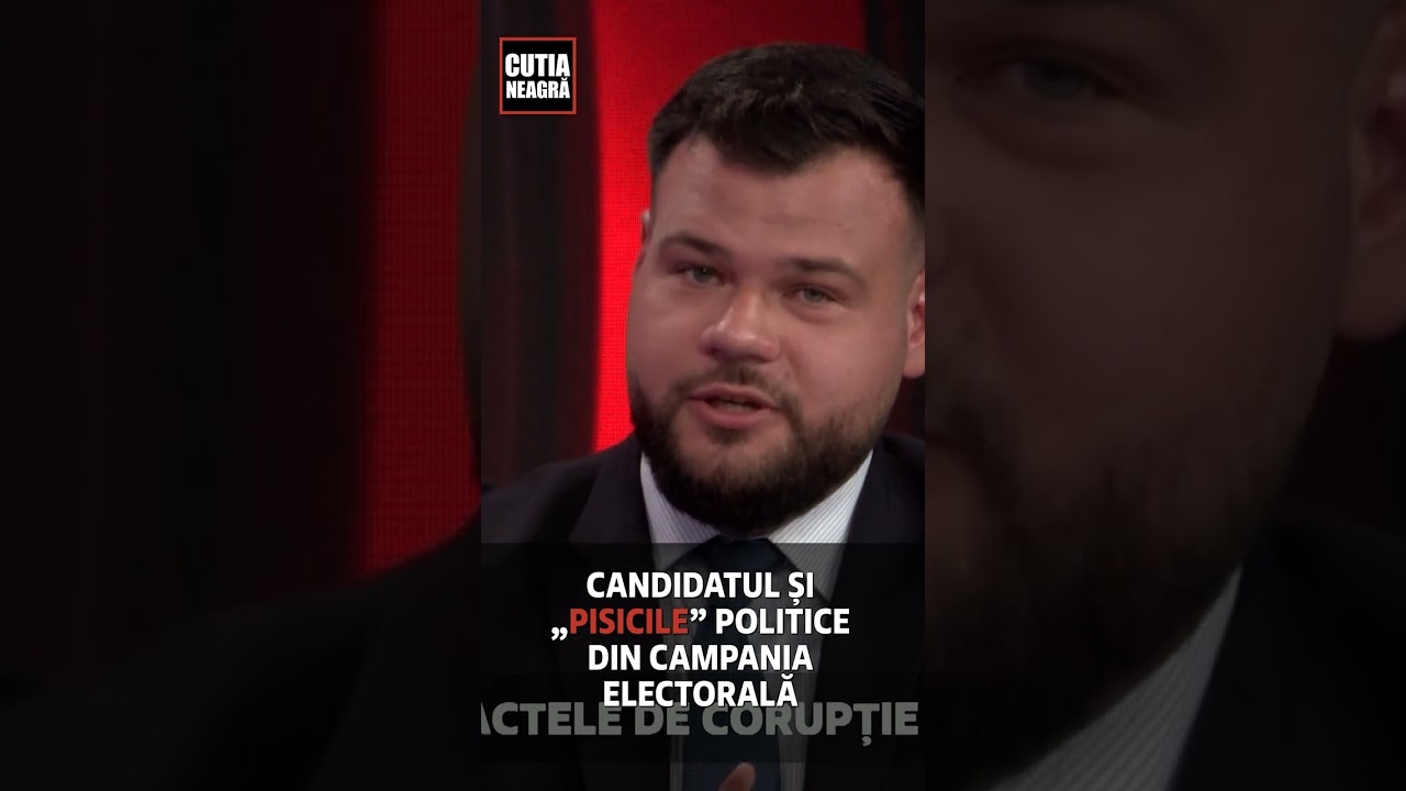 Candidatul și &bdquo;pisicile&rdquo; politice din campania electorală