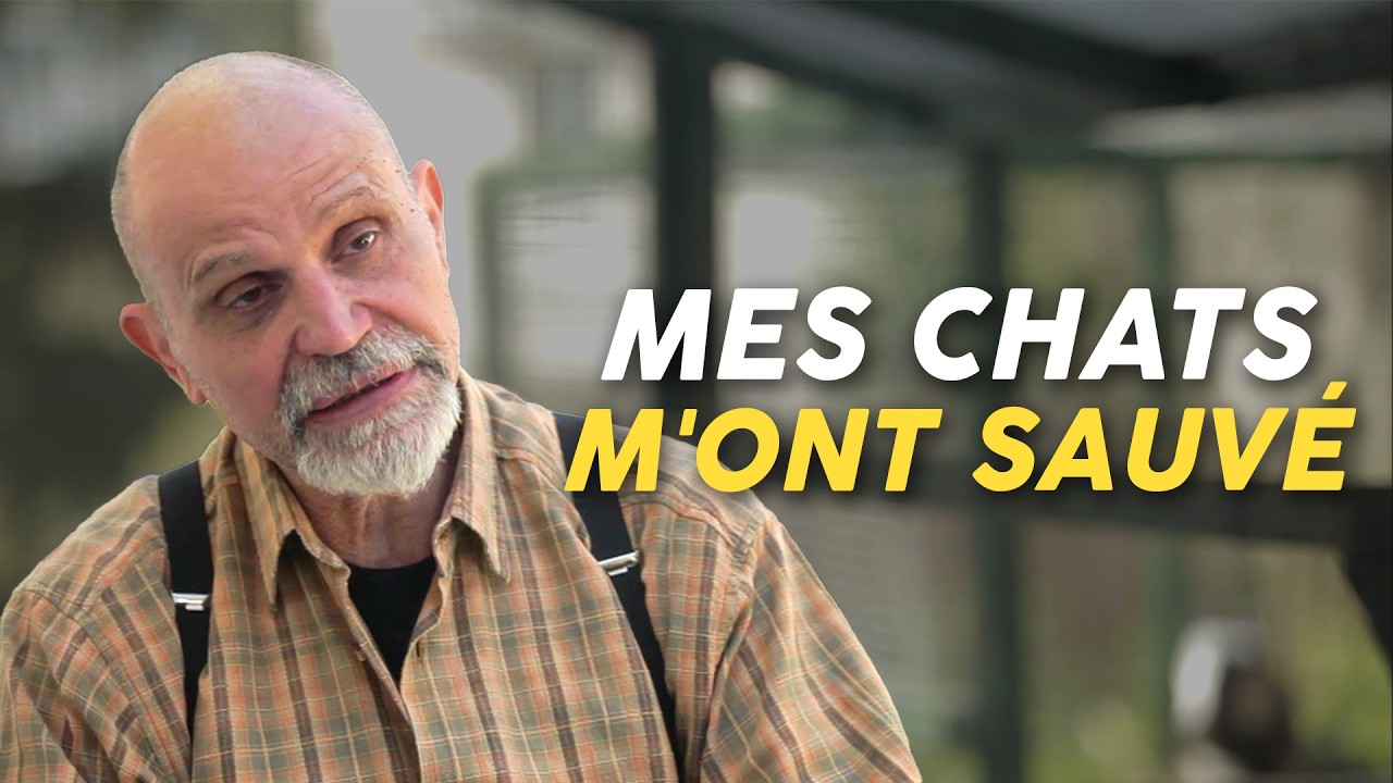 Il a recueilli plus de 250 chats abandonnés (Carlo Oddo)