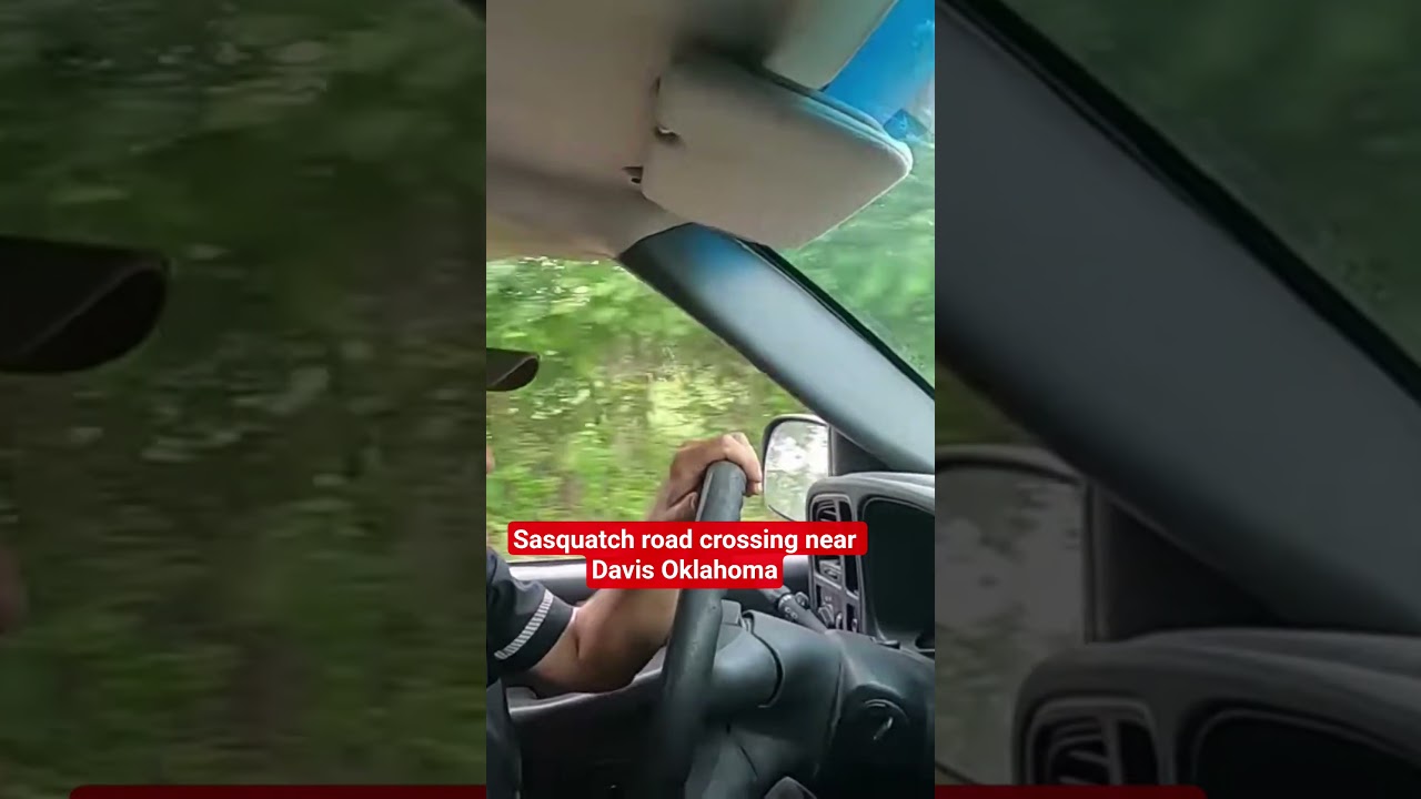 Воспоминания очевидца, полученные на месте происшествия при переходе дороги.