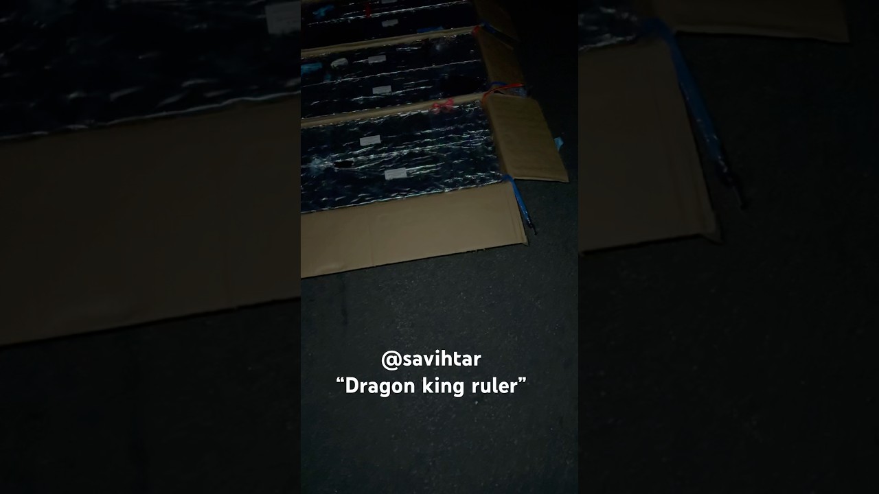 &ldquo;Dragon king ruler&rdquo; 600s #firework #demo #cake  #1stdemo #worldpremier