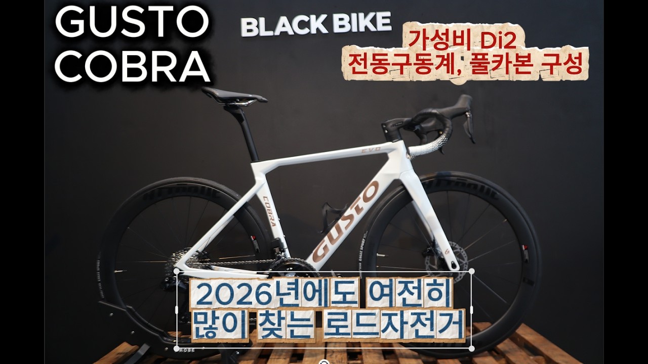 2026년에도 핫한 거스토 코브라 스포츠 팀에디션 조립!![블랙바이크TV]