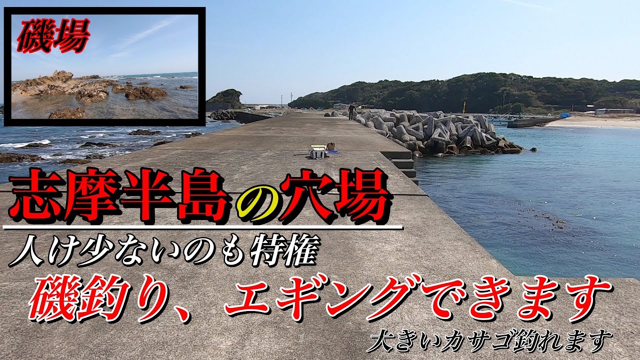 【釣りポイント紹介】三重県屈指の透明度抜群の漁港　穴場中の穴場魚種は豊富ロックフィッシュやアオリ狙いにはええょ〜行く価値あり