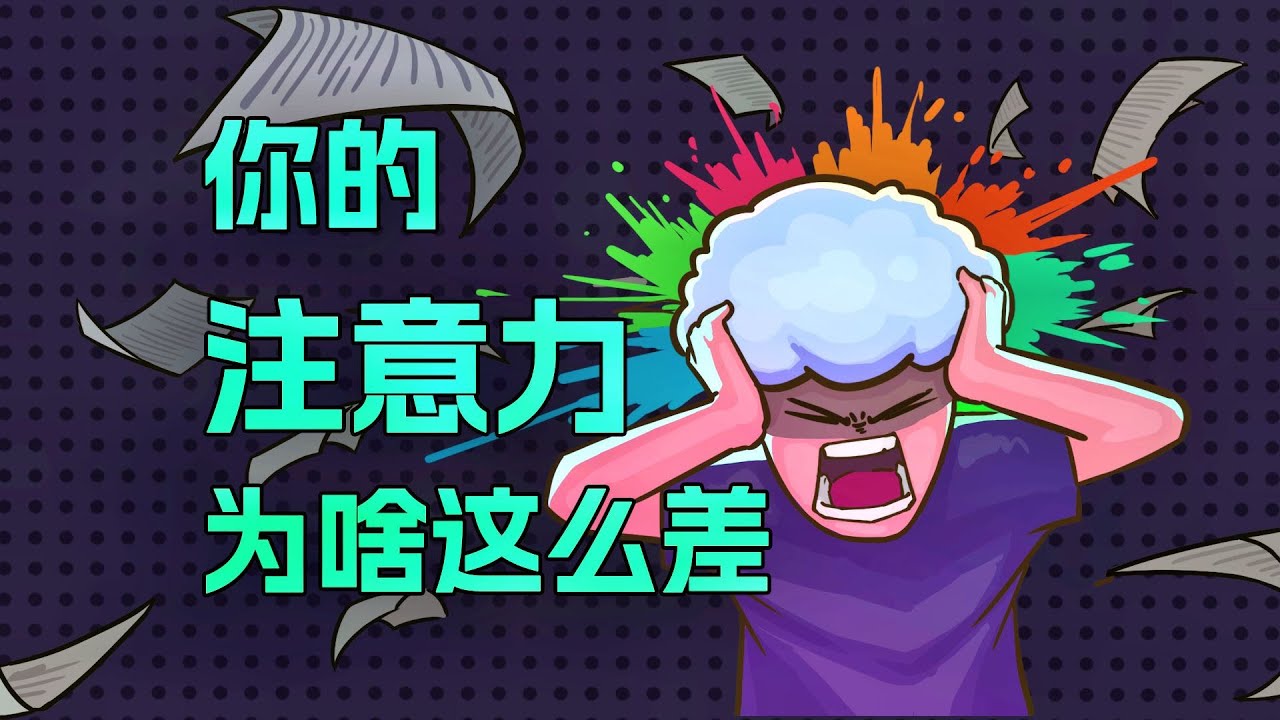 【李白尼】「77」大脑的专注力机制，如何崩坏？
