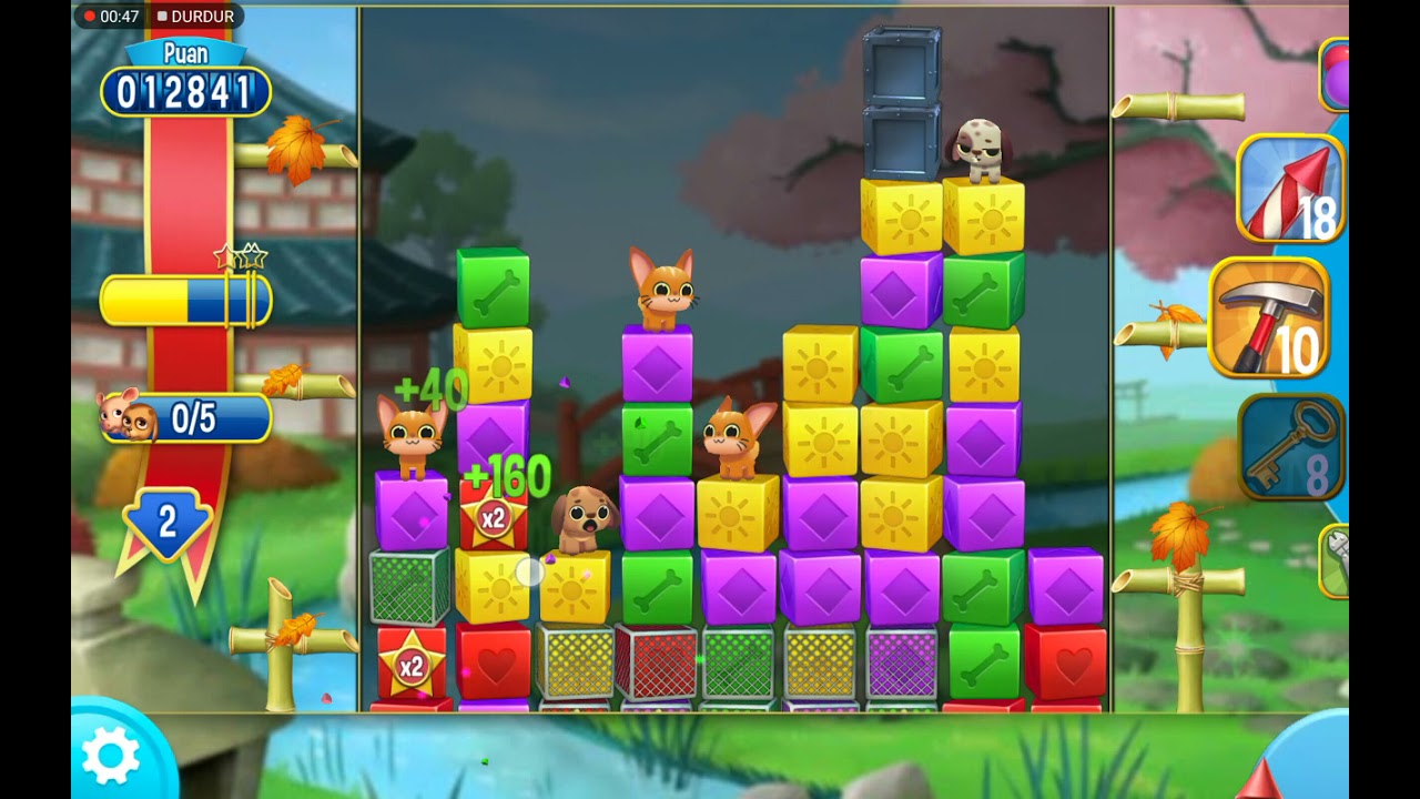 Pet Rescue Saga Level 107