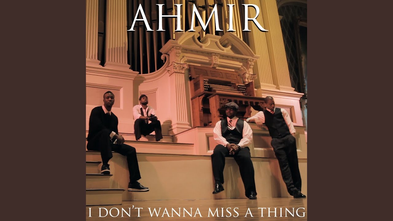 I Don't Wanna Miss a Thing (Cover)