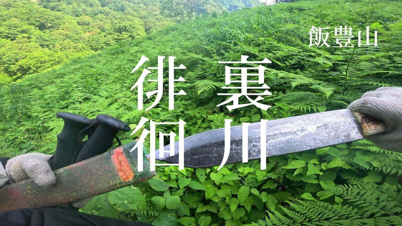 裏川徘徊