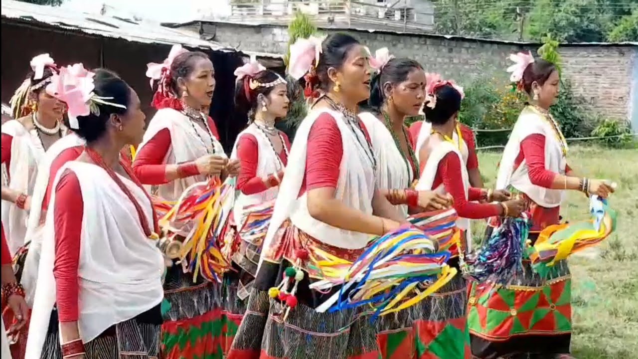 टिहुनी, मुर्गहुवा,छोटकिपुर र झबहीको सखिया नाच र सोनपुरको झुमरी नाच #birbalchaudhary