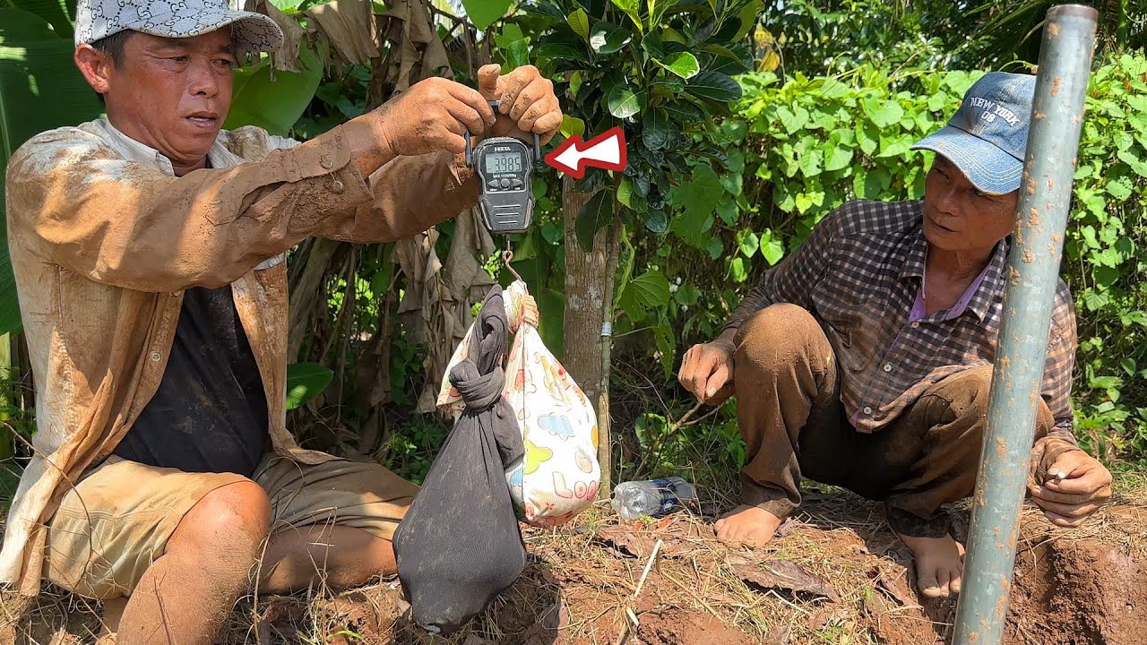 Lai Vung Đồng Tháp : Trúng Mánh Hổ Mang Quá Đã Bắt Sướng Cái Tay | Mười Thương Săn Bắt
