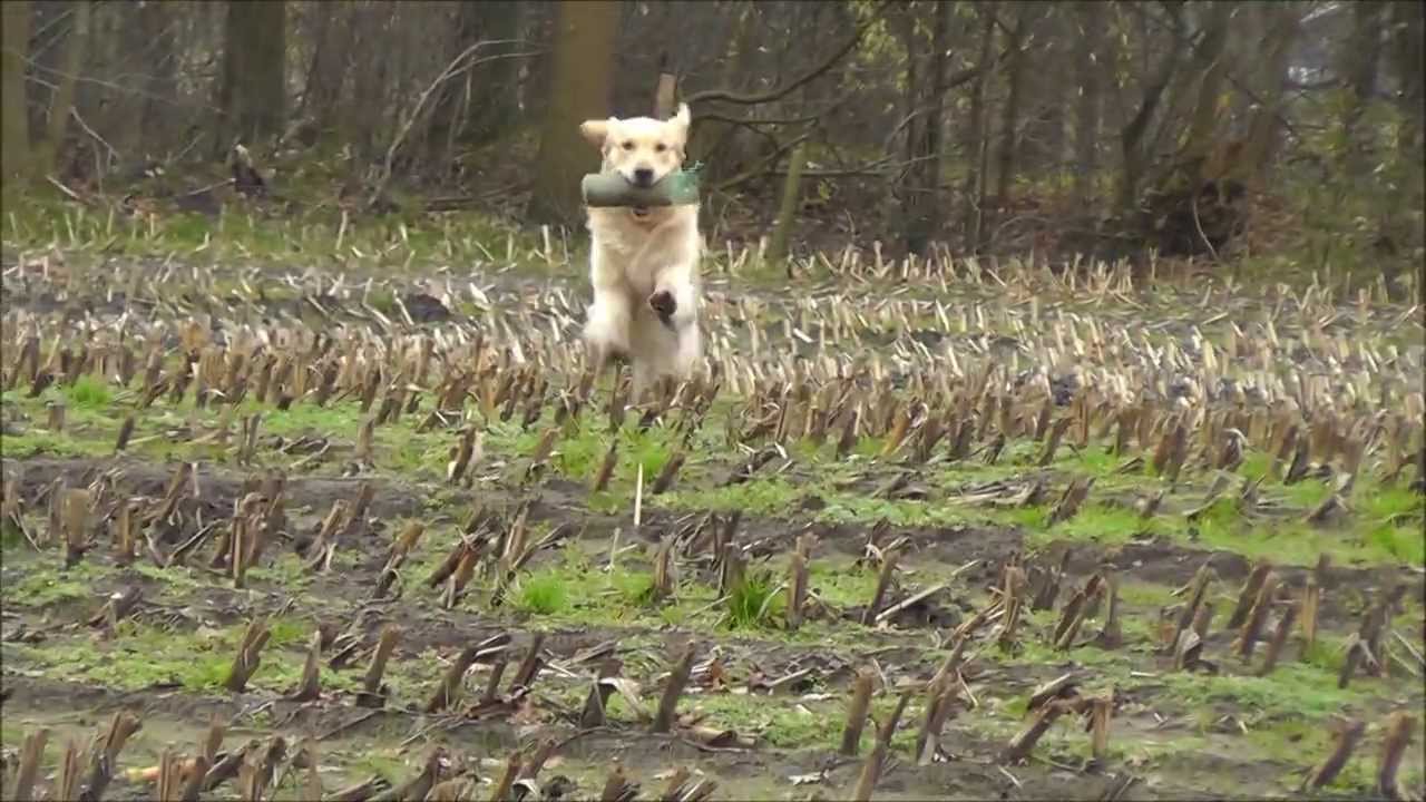 Jachttraining voor jong en oud
