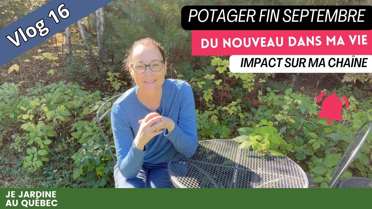 Mon Potager sur Petite Surface : Bilan de Fin Septembre Vlog #16