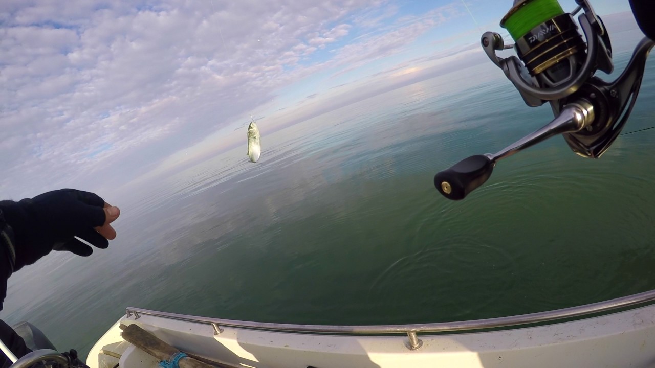 Fishing on the black sea vadu
