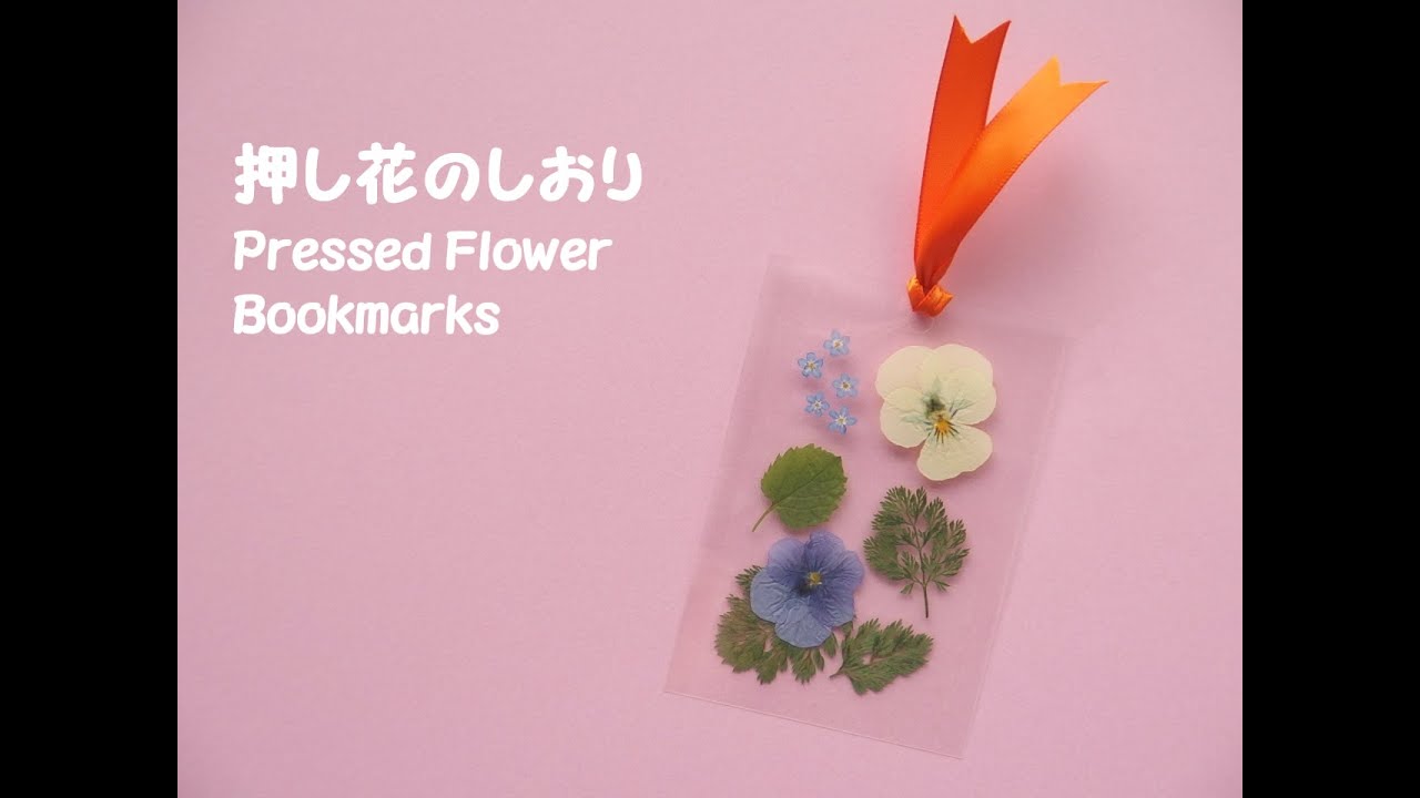 【工作ネタ】ダイソー商品「手貼りラミネートフィルム」で作る押し花のしおり　Pressed flower bookmark　（高齢者レク　作業療法OT　デイ　簡単　DIY）