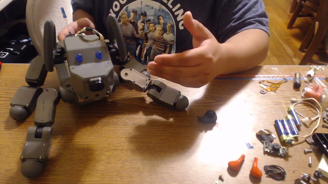 Sony Aibo Ers-31D (Diogee) Repair For: @Ninten110dogs 