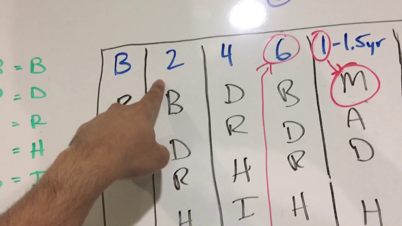 Vaccine schedule made easy