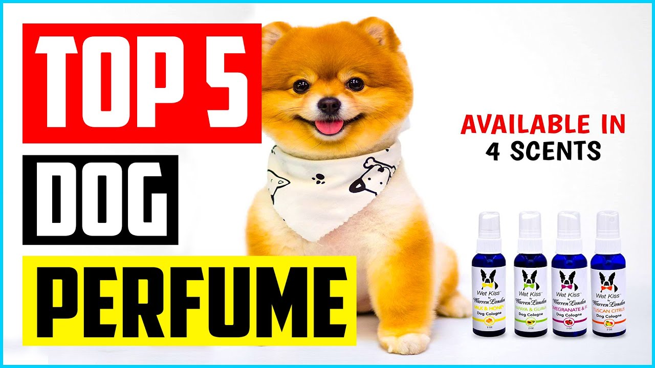 Top 5 Best Dog Perfume in 2022 Reviews